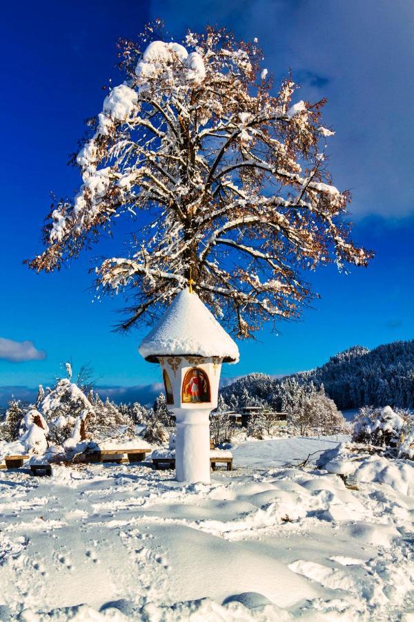Апартаменты Haus Am Wald Фаак-ам-Зее Экстерьер фото